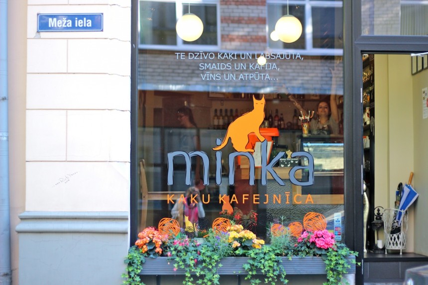 Minka Kattencafe