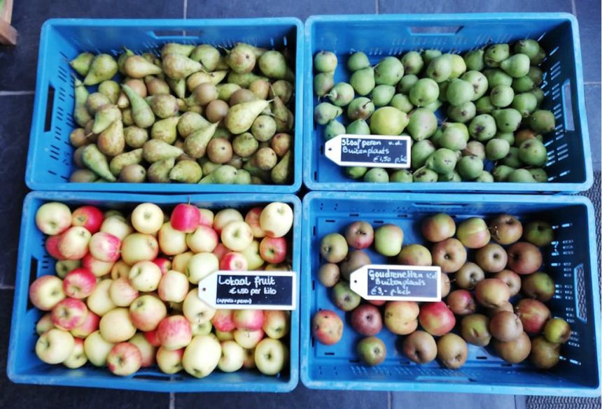 Op Hodenpijl winkel biologisch 