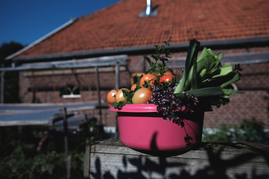 Achterhoek biologisch streekproducten kookworkshops Op de Brusse boerderij restaurant