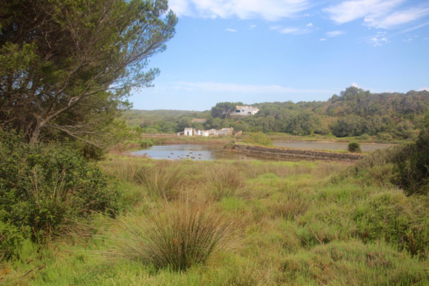 S'Albufera Menorca natuur park