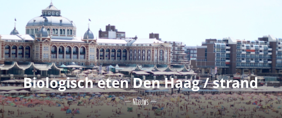 Biologisch eten Den Haag - strand zwarte pad scheveningen duurzaam strandpaviljoens