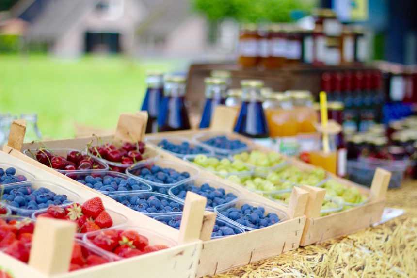 Verrukkelijk Vechtdal Puur Picknick de bessentuin overijssel streekproducten