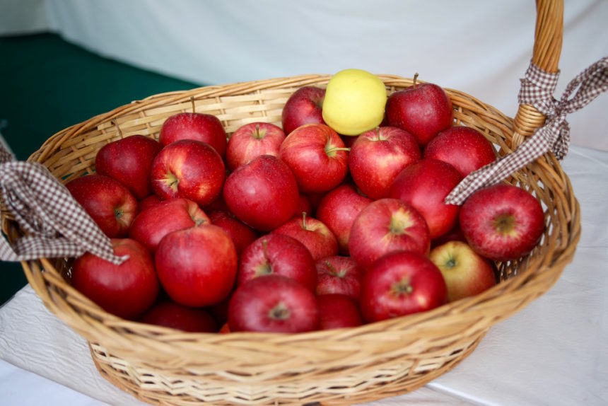 Appels in Zuid-Tirol
