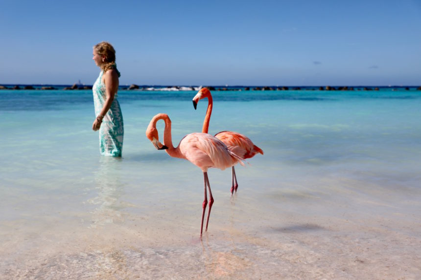 Jeannette van Mullem Pure! Food & Travel Aruba renaissance island flamingos