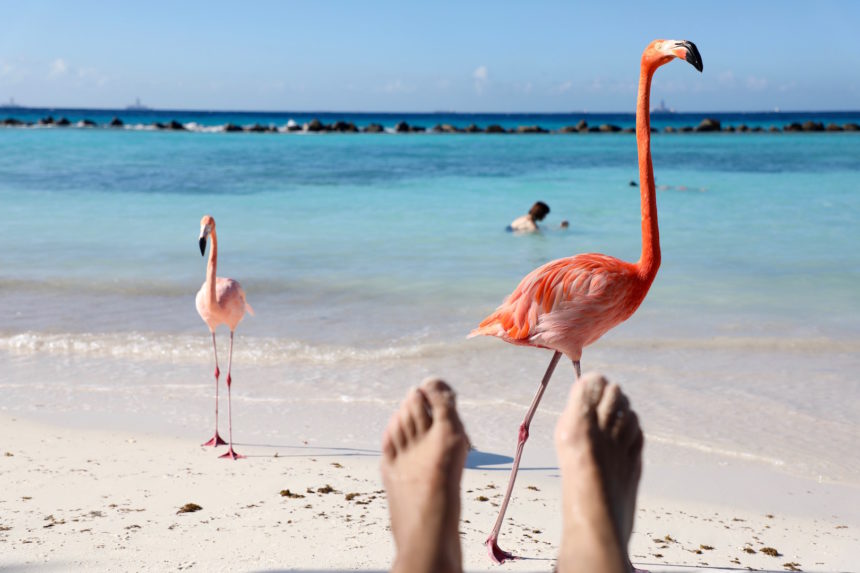 Renaissance Island flamingo beach Aruba wellness Aruba tips hotspots travelblog