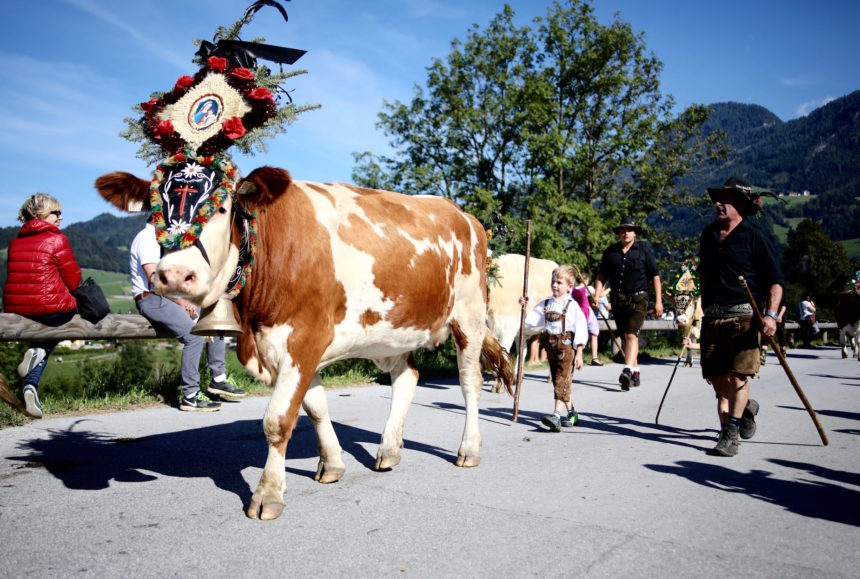 Almabtrieb Tirol Jeannette van Mullem puur uit eten puuruiteten reizen reisjournalist reisfotograaf culinair journalist acsi freelife