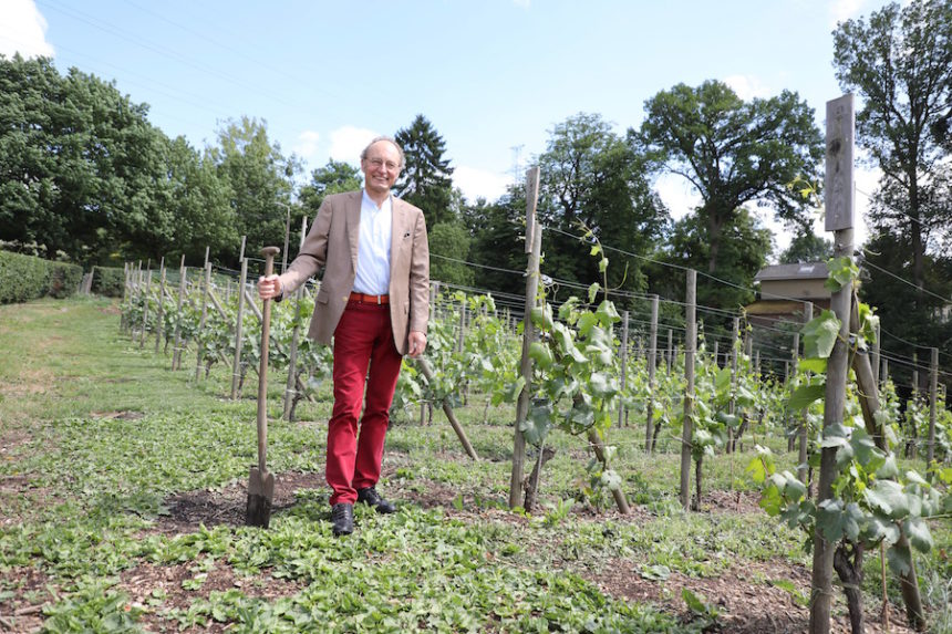 Domaine septem triones Chaudfontaine biologisch-dynamische wijn