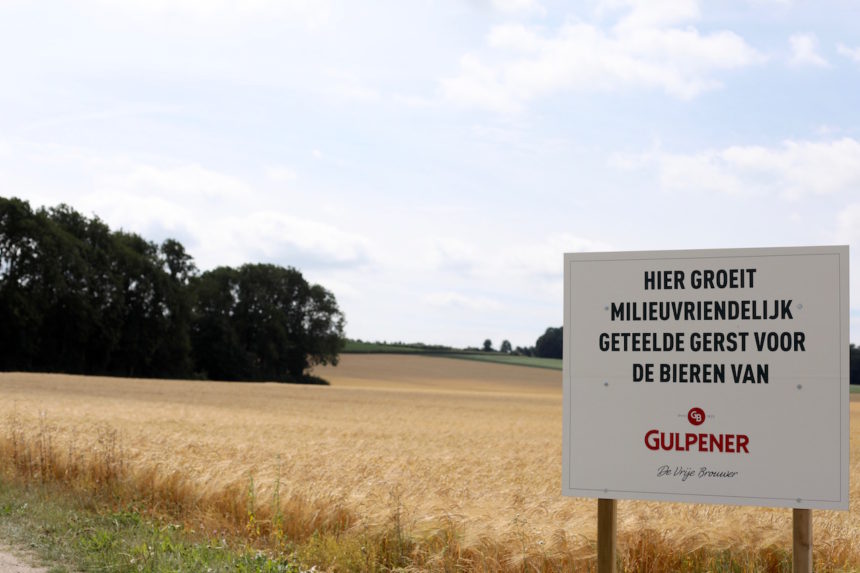 Gulpener bierbrouwerij bier gerst zuid limburg tips