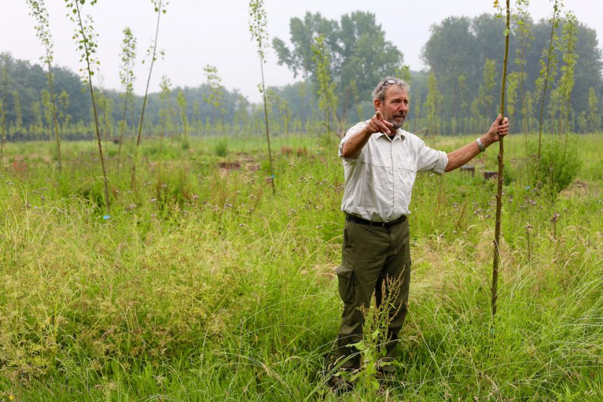 André Wels boswachter Staatsbosbeheer Horsterwold