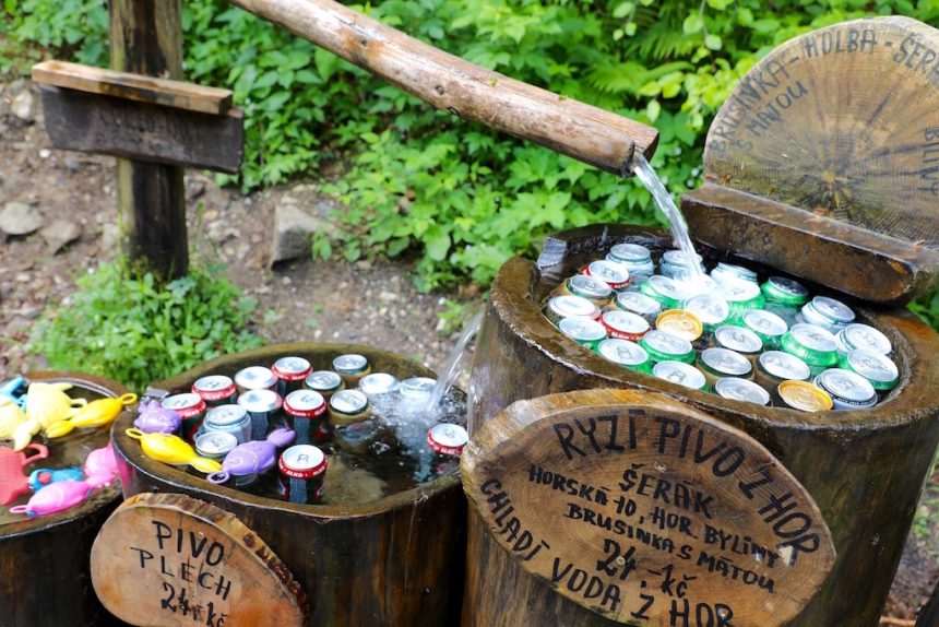 Forest bar honesty bar tsjechie czechia