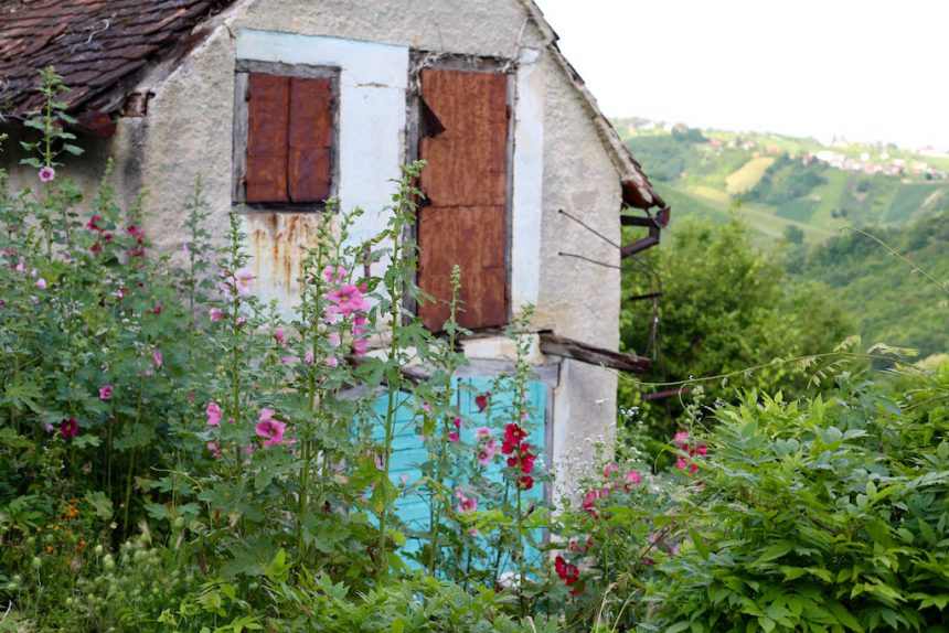 Roadtrip Midden-Kroatië tips plesivica wijn