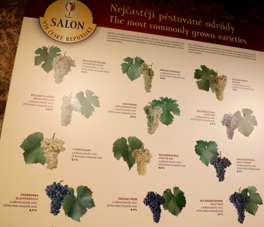 Vin Salon wijn proeven in Zuid-Moravië