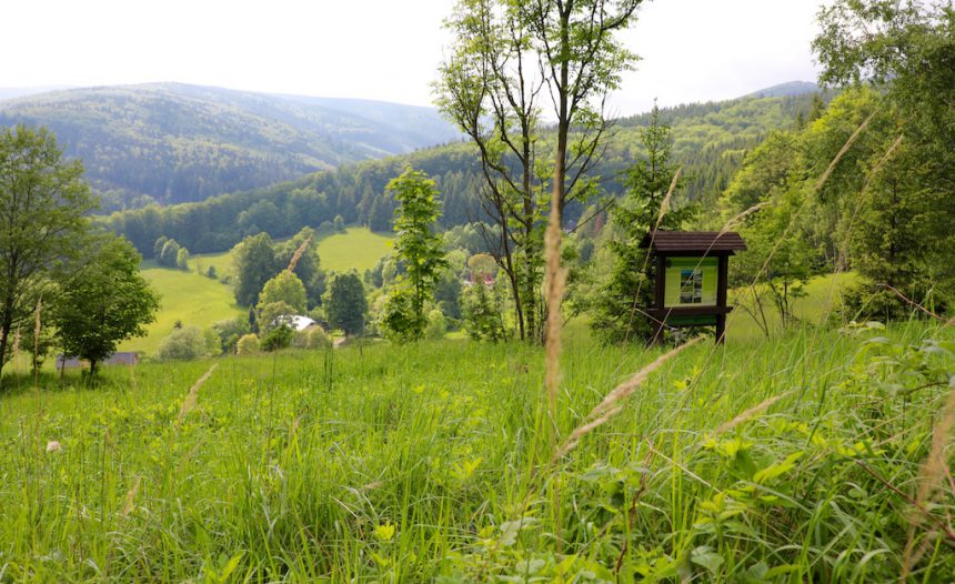 Wandelen in Tsjechië