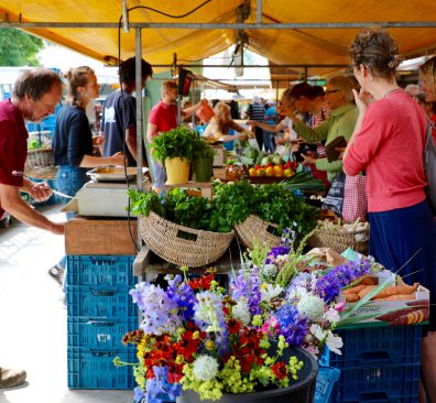 Wat te doen in Flevoland?