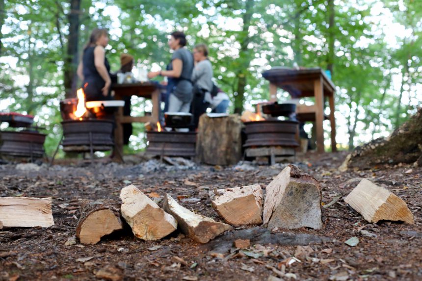 Pure Food Camp in Zweden tips