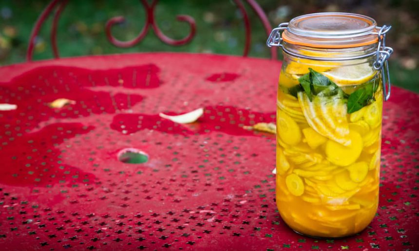 Verrot Gezond fermentatie kookboek fermenteren