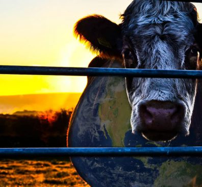 Cowspiracy, food documentaire en duurzaamheid