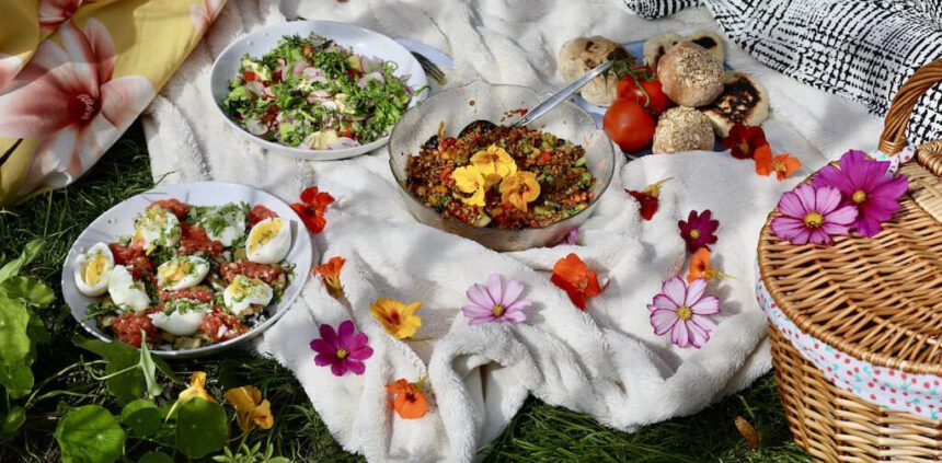 Vega en vegan picknick recepten