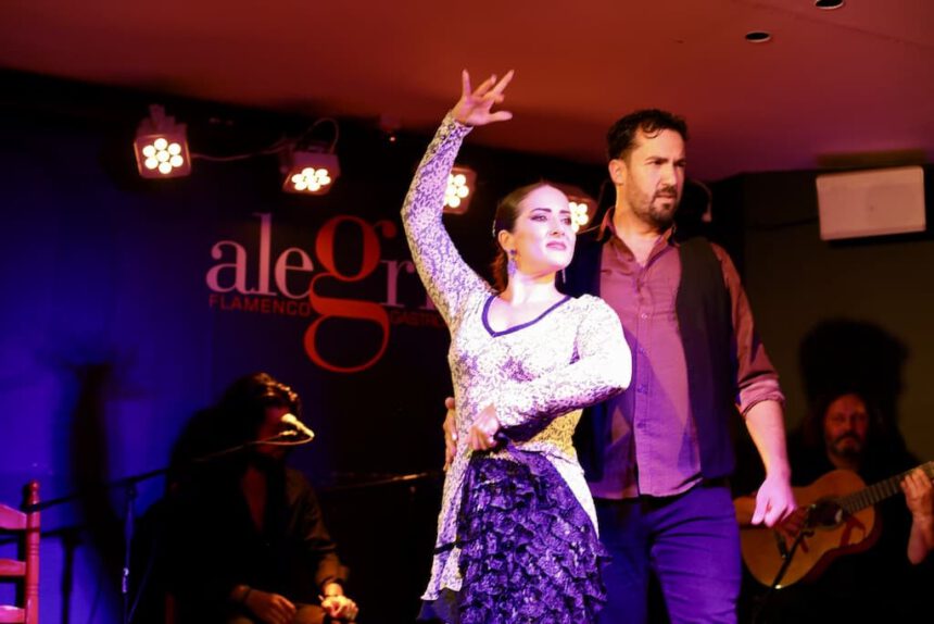 Alegria Malaga flamenco show