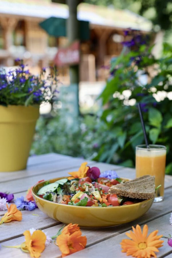 Salade met gegrilde groenten