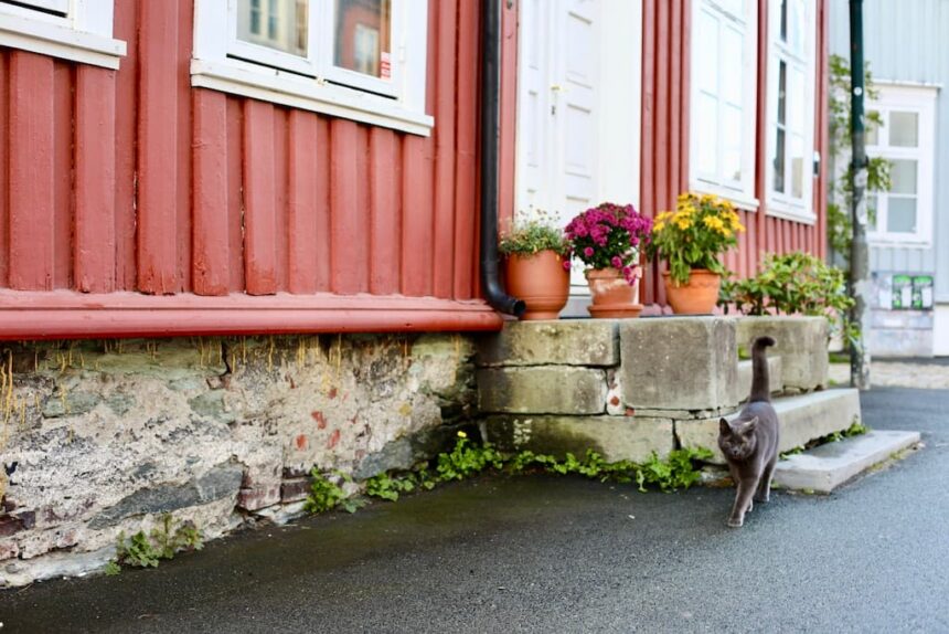 Bakklandet Trondheim