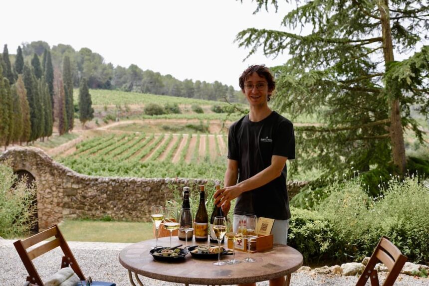 Biologische wijn Albet i Noya Penedès