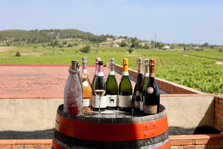 Biologische wijn Penedès Loxarel