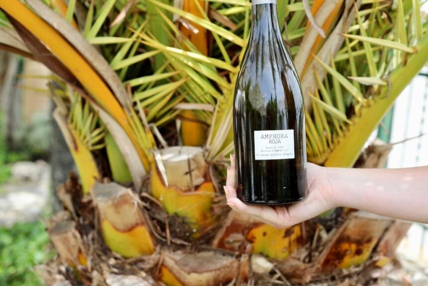 Pares Balta wijnhuis Penedès