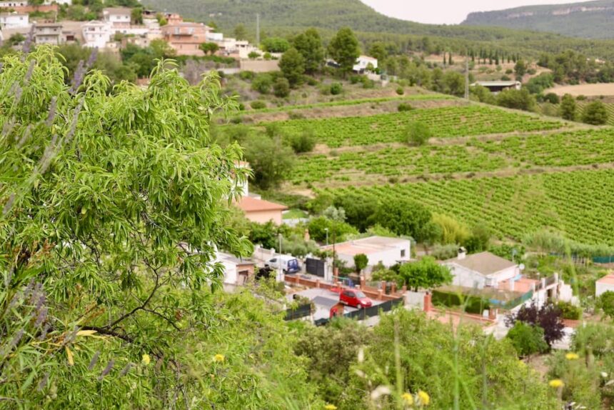 Penedes b&b wijngebied