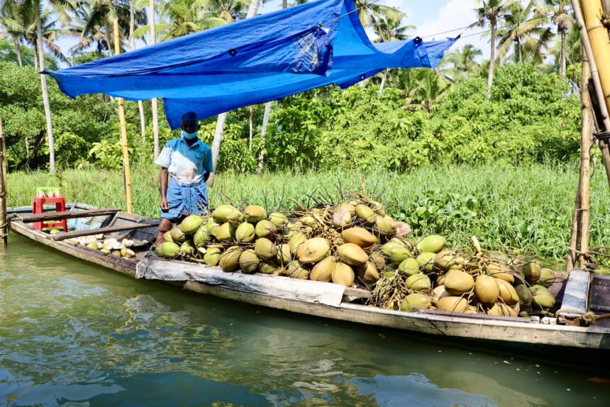 Kerala Backwaters Zuid-India