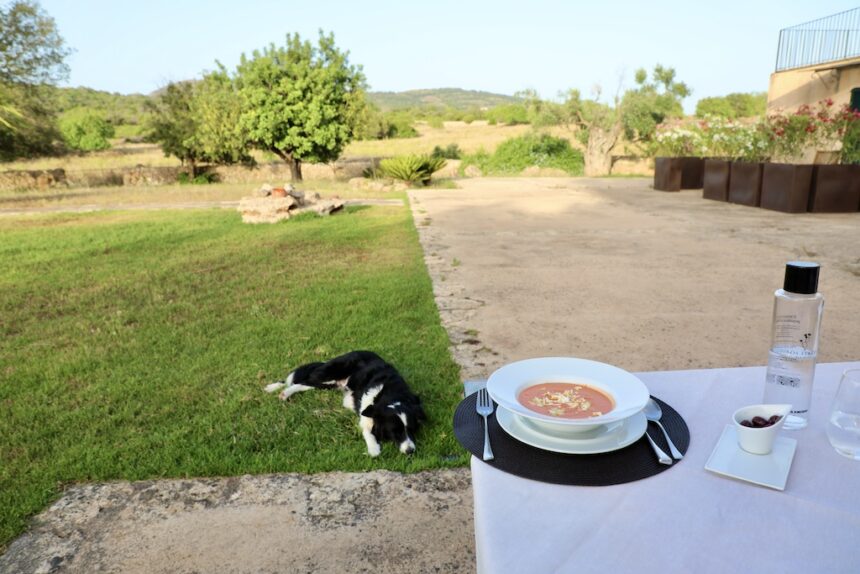 Agroturismo Mallorca Sos Ferres d'en Morey