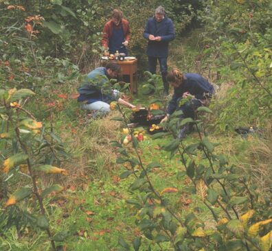 De Voedselbos Keuken